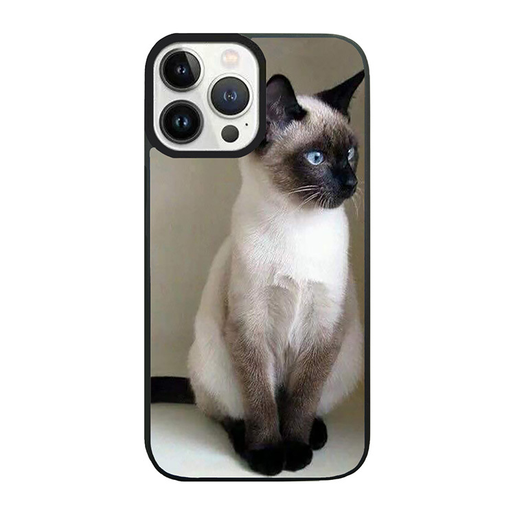 黑面的貓貓 - PP1160