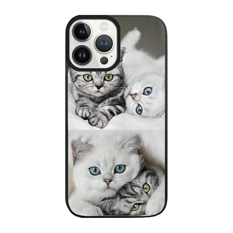 當小貓遇上小貓 - PP1159