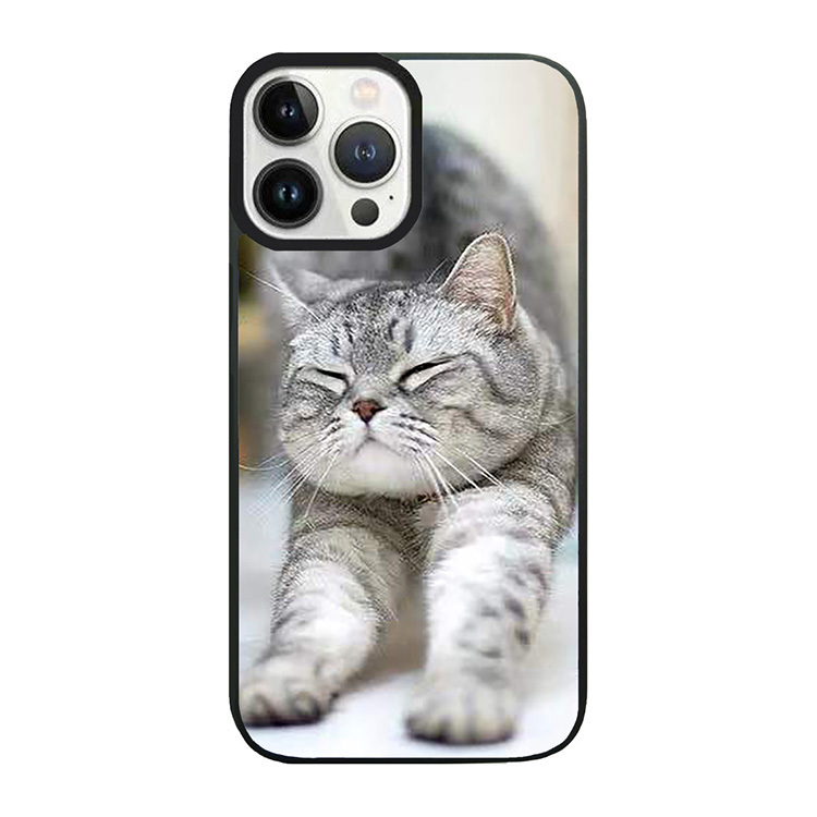 十分放放鬆的小貓 - PP1157