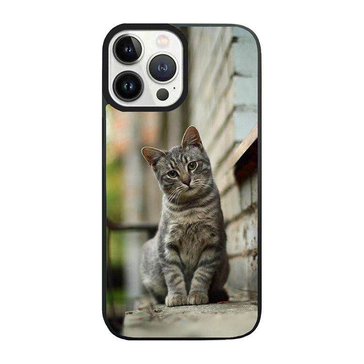 上鏡的花貓 - PP1155