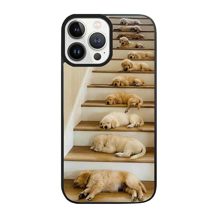 懶洋洋的小狗們