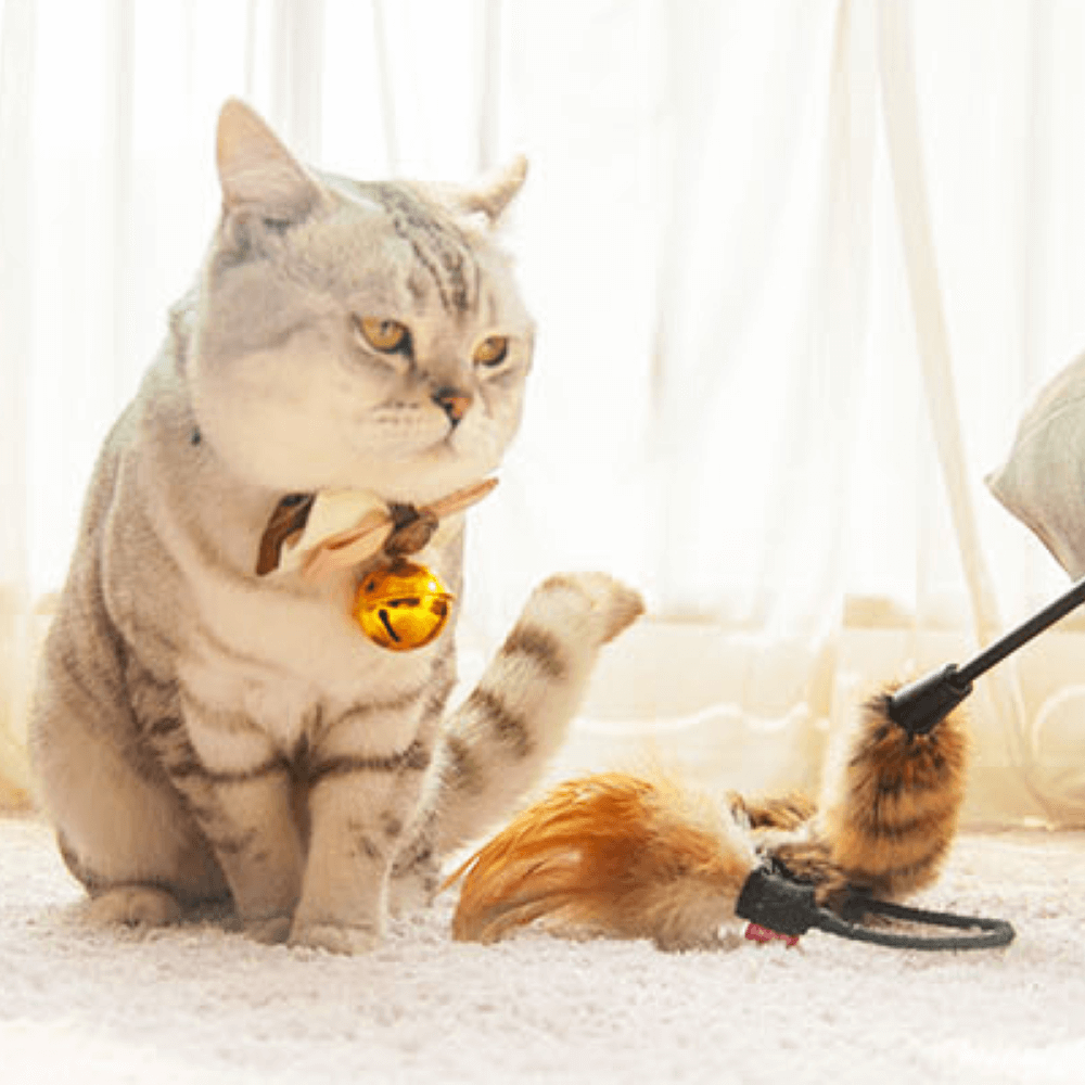 GIGWI - Feather Teaser 長毛絨魔力貓棒