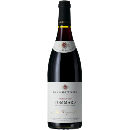 Bouchard Pere & Fils Pommard 2019