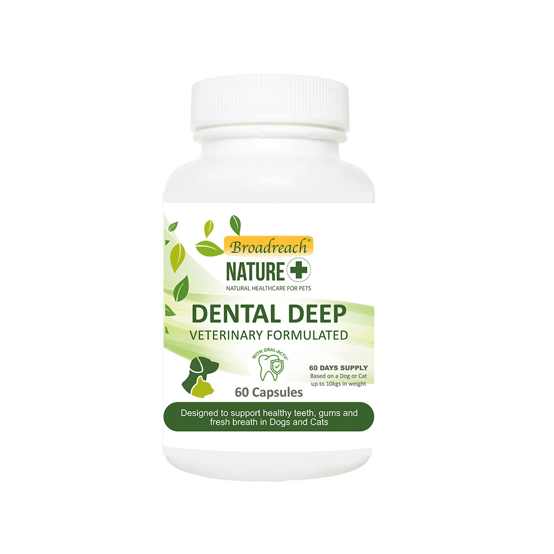 【BROADREACH NATURE+ 】健口寶(犬貓) 60膠囊