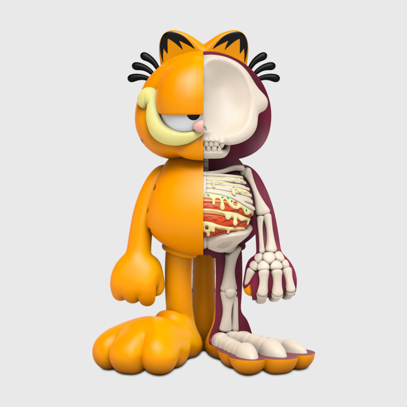 XXRAY PLUS : GARFIELD 半解剖加菲貓-LND-20GFXGFOG27