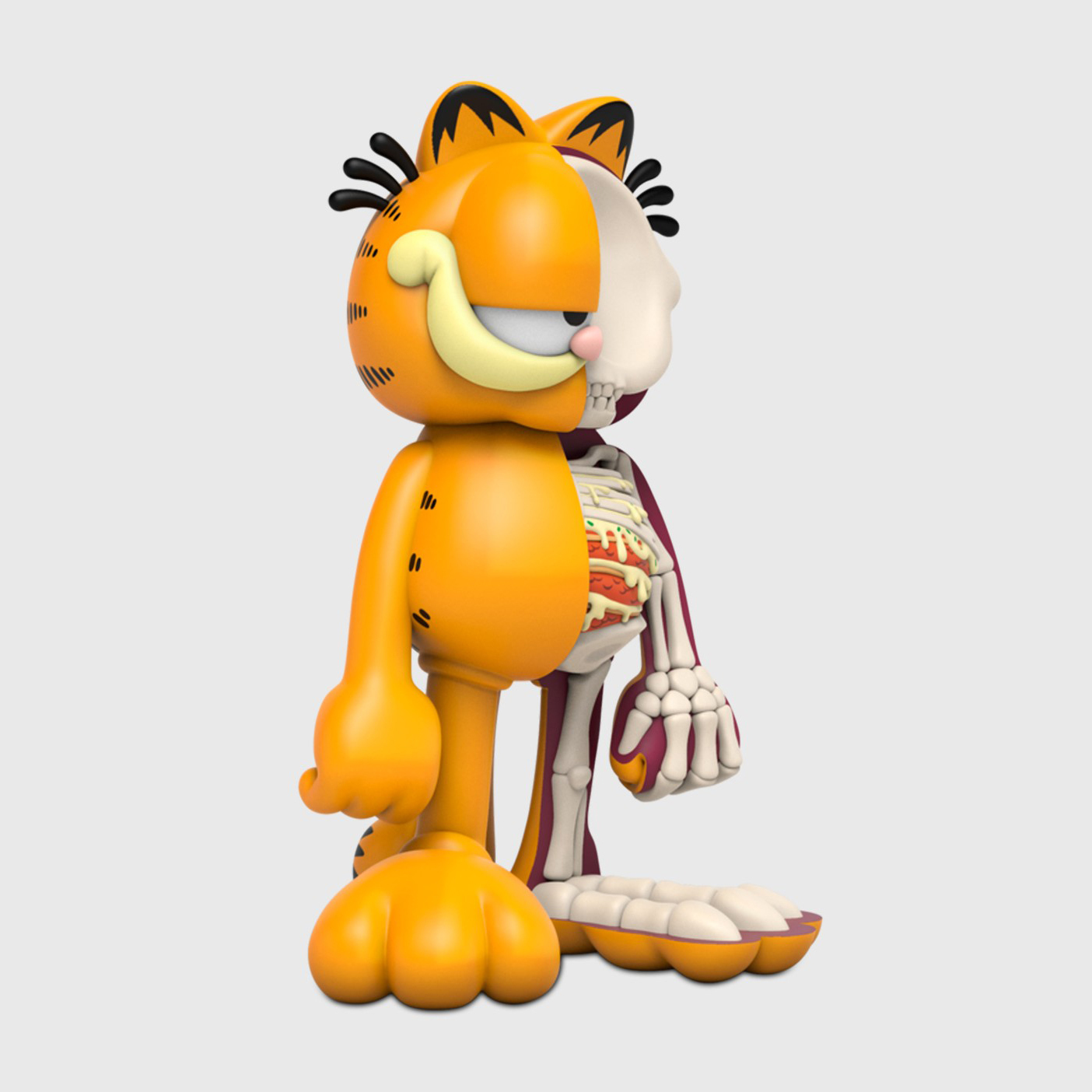 XXRAY PLUS : GARFIELD 半解剖加菲貓-LND-20GFXGFOG27