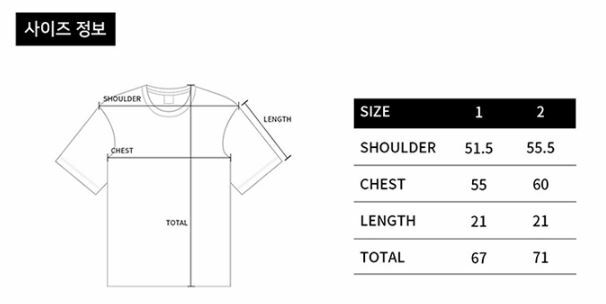 ACME DE LA VIE  BACKGROUND LOGO 短袖 短T 淺綠 ADLV-22SS-SSLBKG-MNT