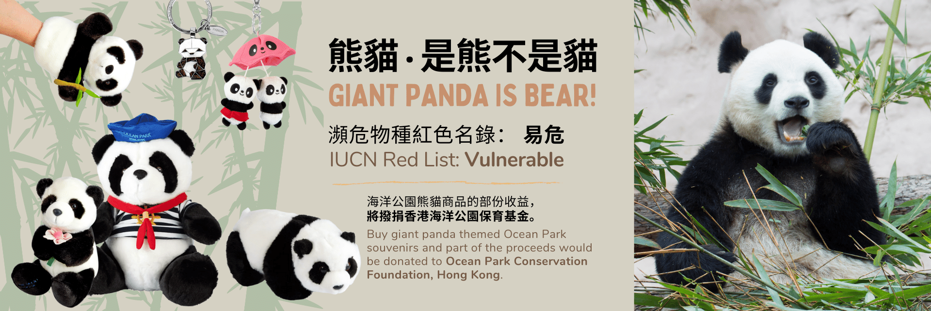 Panda toys, Panda stuffed animal, 大熊貓玩具,  大熊貓毛公仔