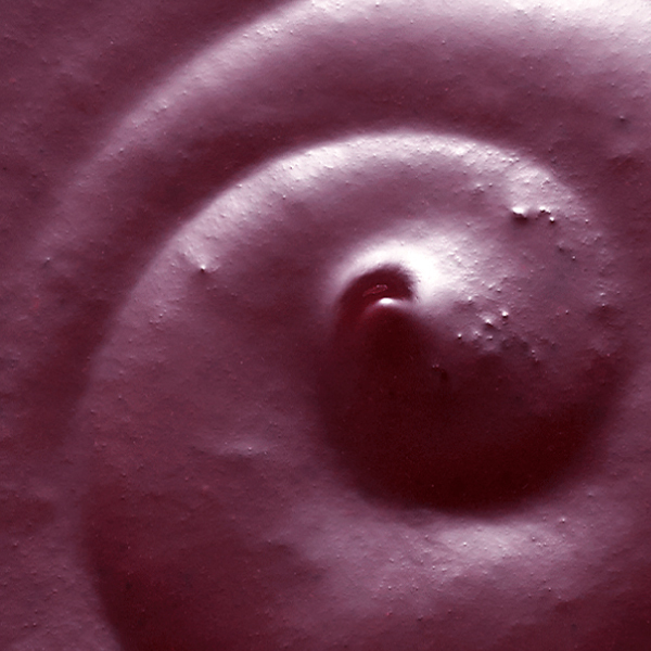 【智慧誠選】複合花青多酚野生藍莓全漿 - 350ml