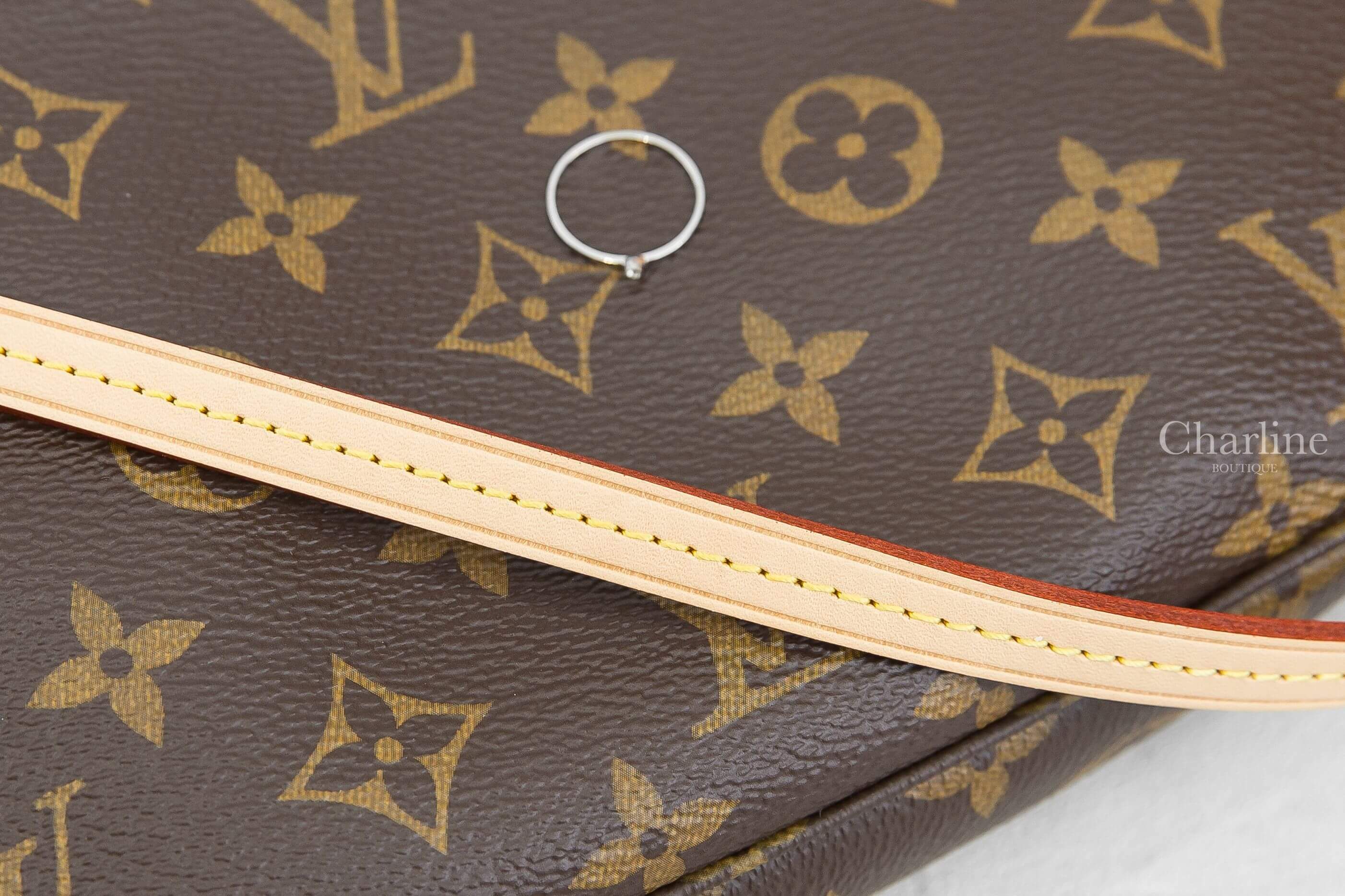 Louis Vuitton Pochette Accessoires 咖啡色老花帆布手提肩背包