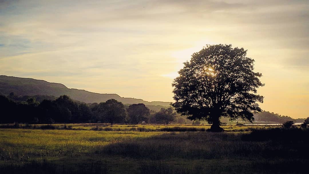 May組合商品測試