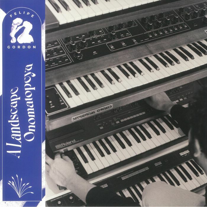 Felipe Gordon《A Landscape Onomatopeya》（2LP）
