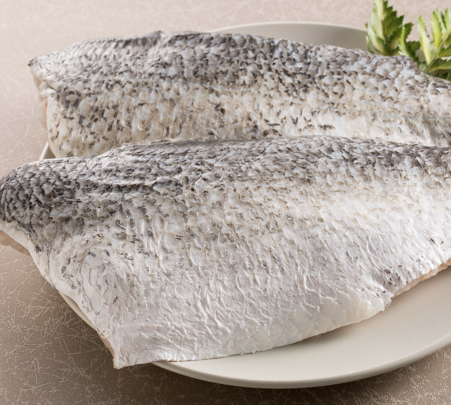 台灣金目鱸魚清肉排