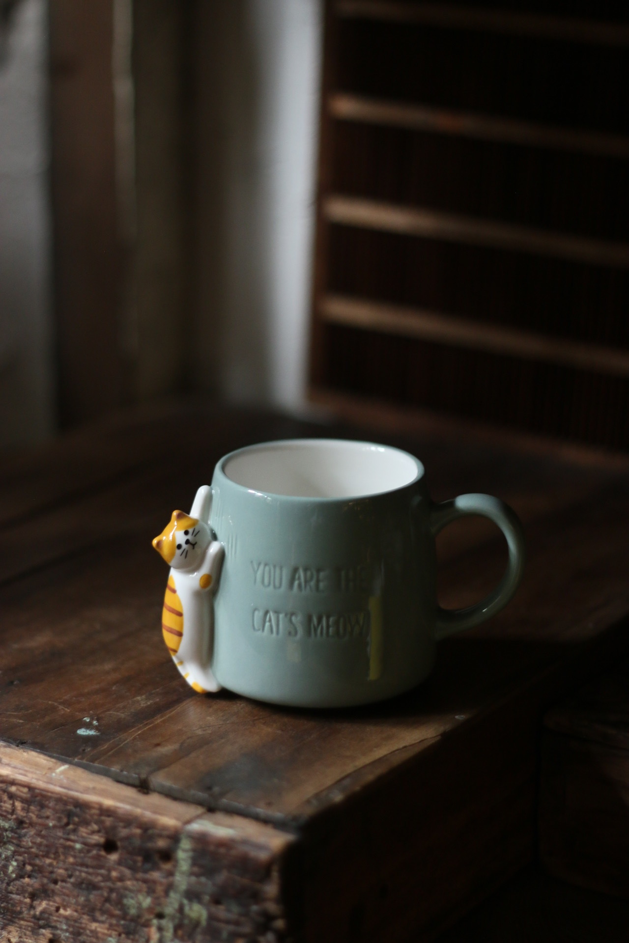 DECOLE 杯緣子貓 馬克杯 300ml