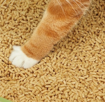 日本直送 ESUTI 消臭抗菌貓砂(大粒) 2.5L