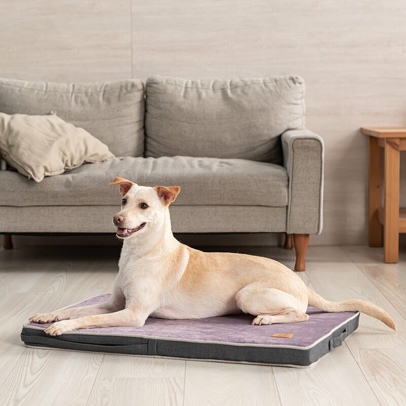 LIFEAPP - 經典絨布睡墊