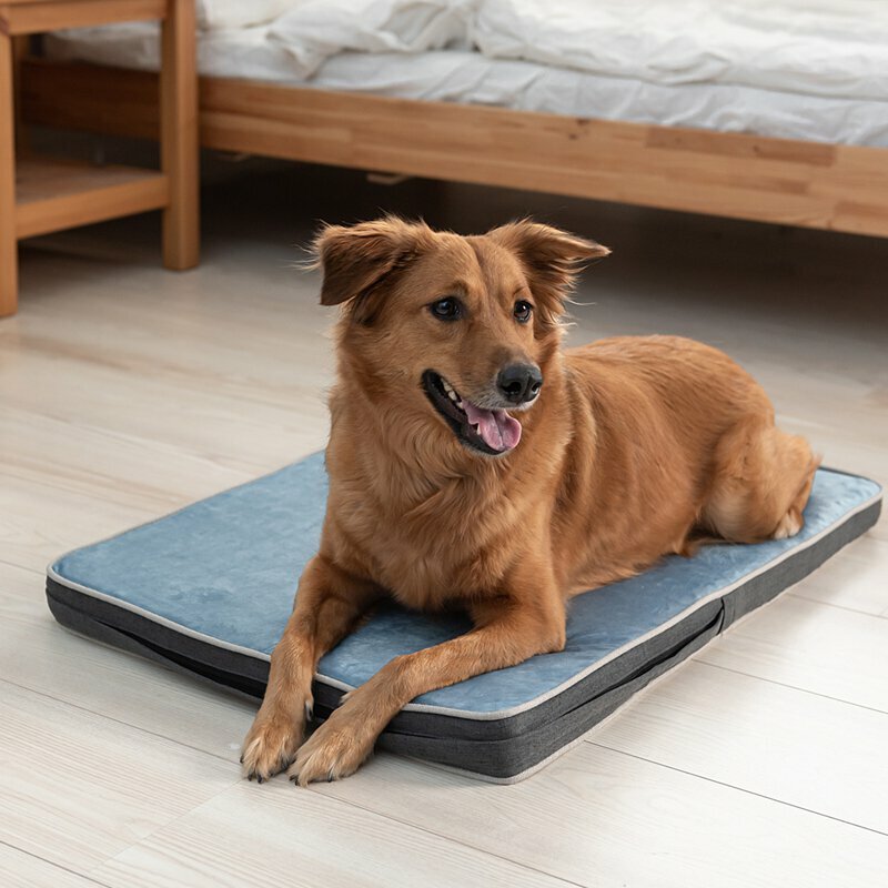 LIFEAPP - 經典絨布睡墊