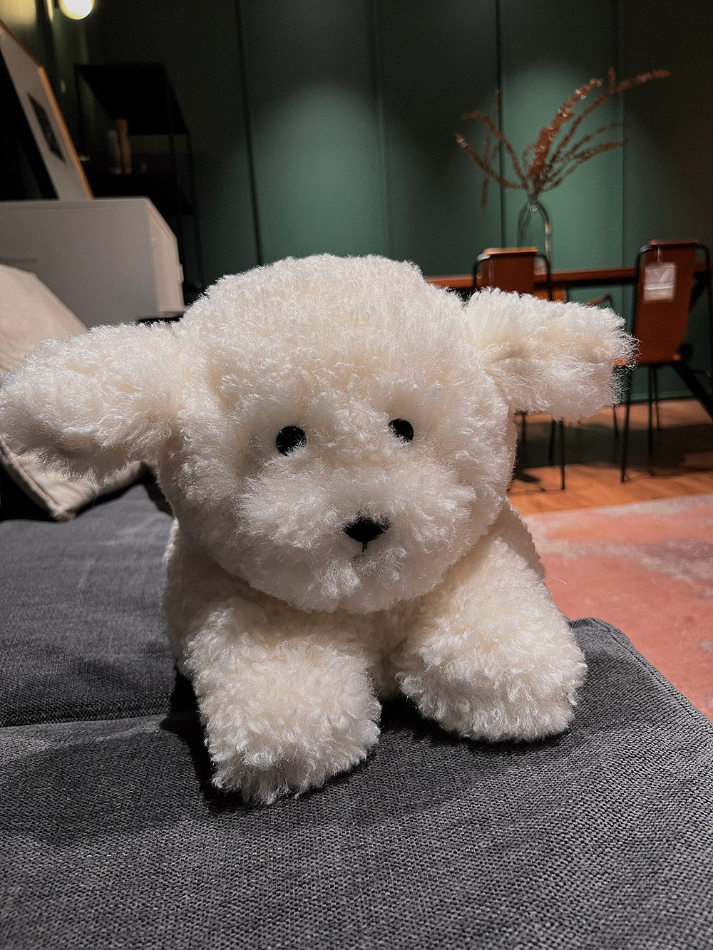 Best Friend Bichon Frise