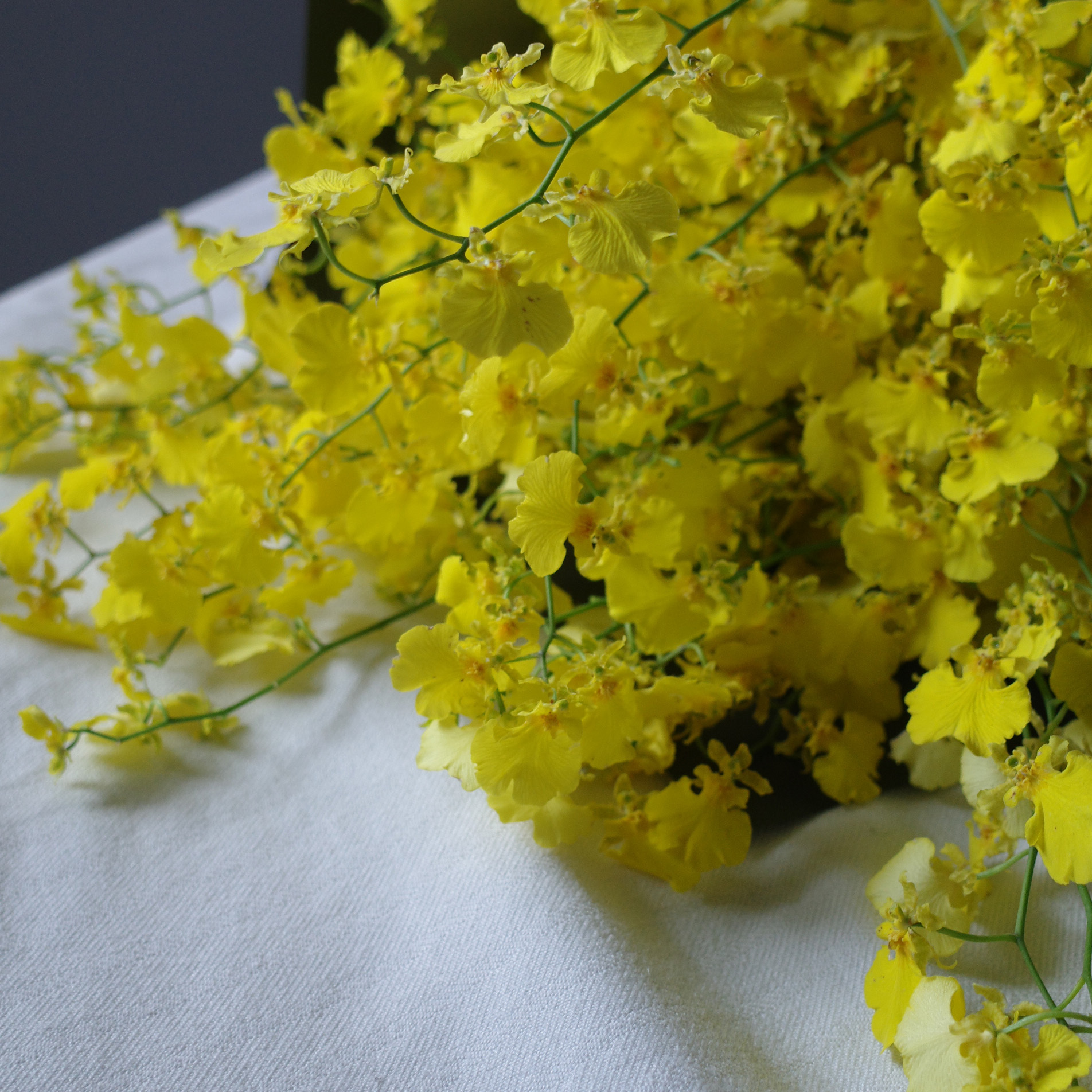 逐光｜新竹限定