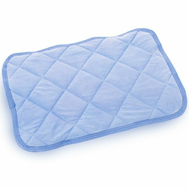 Sun-Family -【COOL】(Pillow Pad)