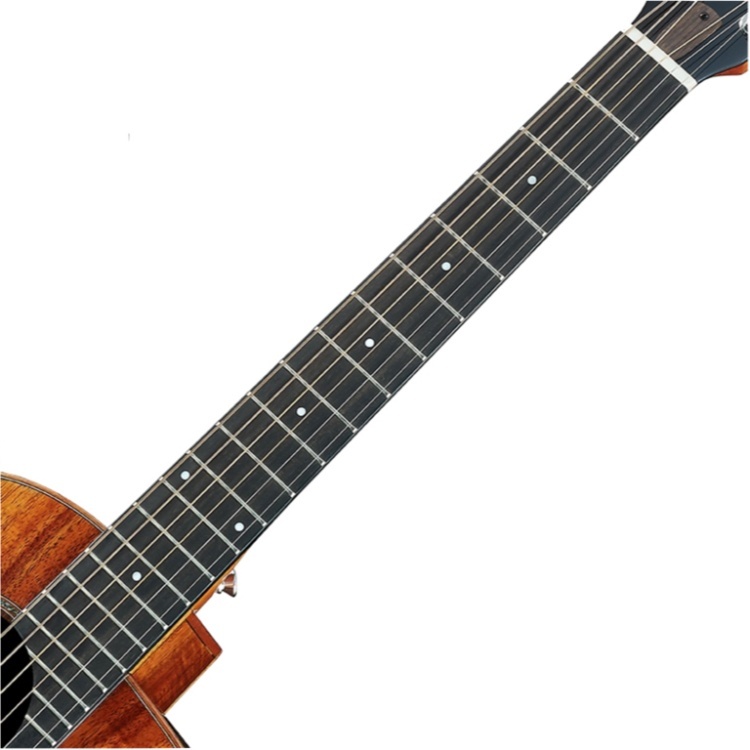 aNueNue aNueNue - M88 36吋單板吉他 旅行吉他 小吉他 原色 混色 第 3 張圖片｜三峽吉他 / Bass