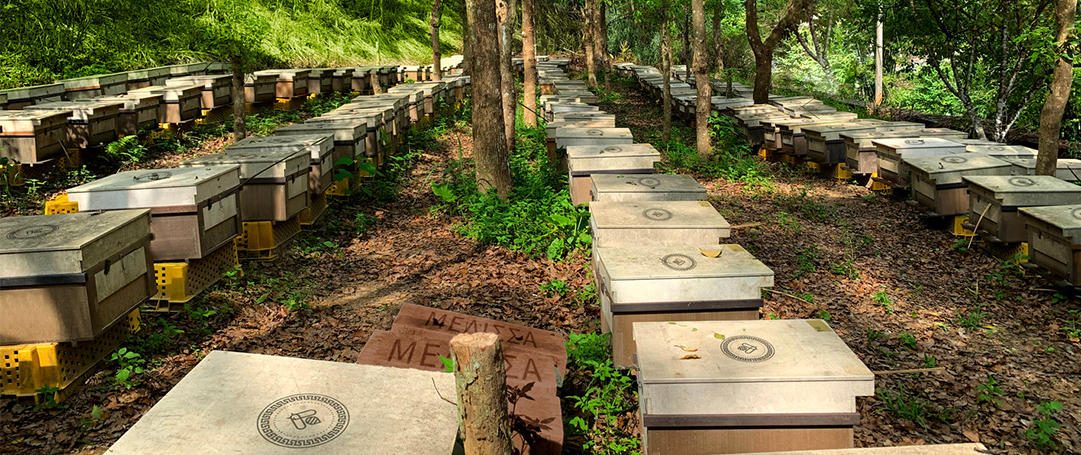 Melissa,melissa蜂蜜,台灣蜂蜜,有機蜂蜜,換個角度,玫瑰蜂蜜,櫻花蜂蜜,荔枝蜜,龍眼蜜,百花蜜