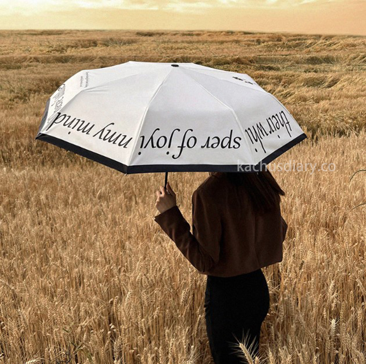 Retro American Umbrella