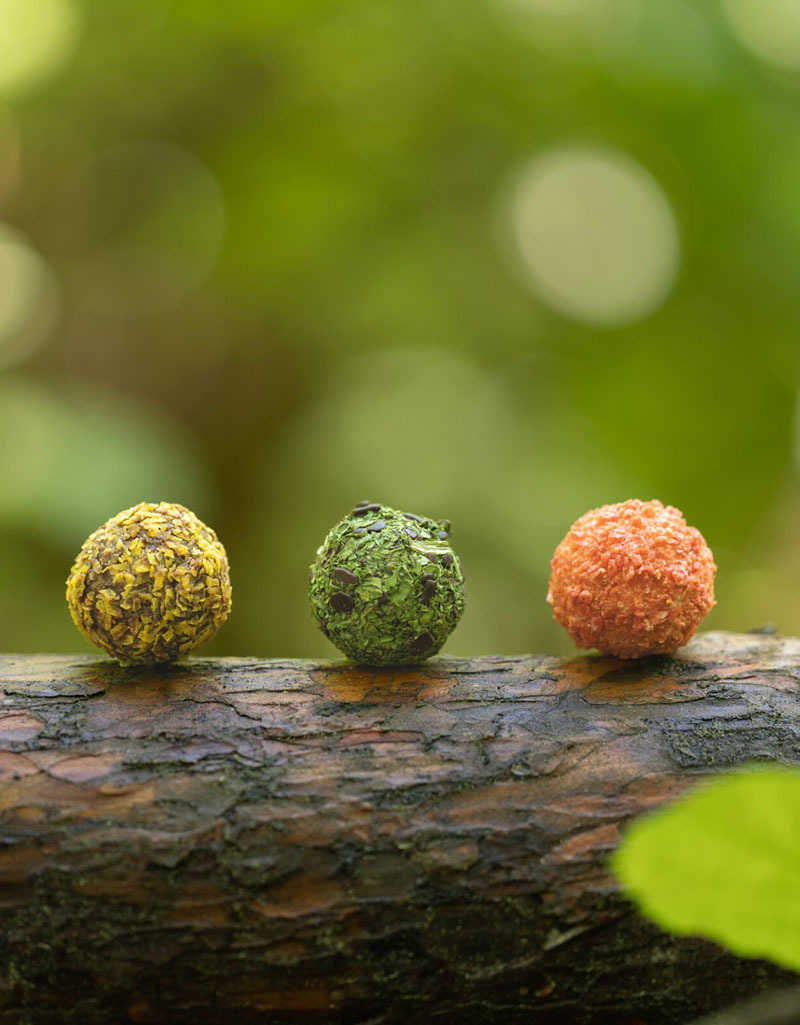 露特巧克力企業禮品採購