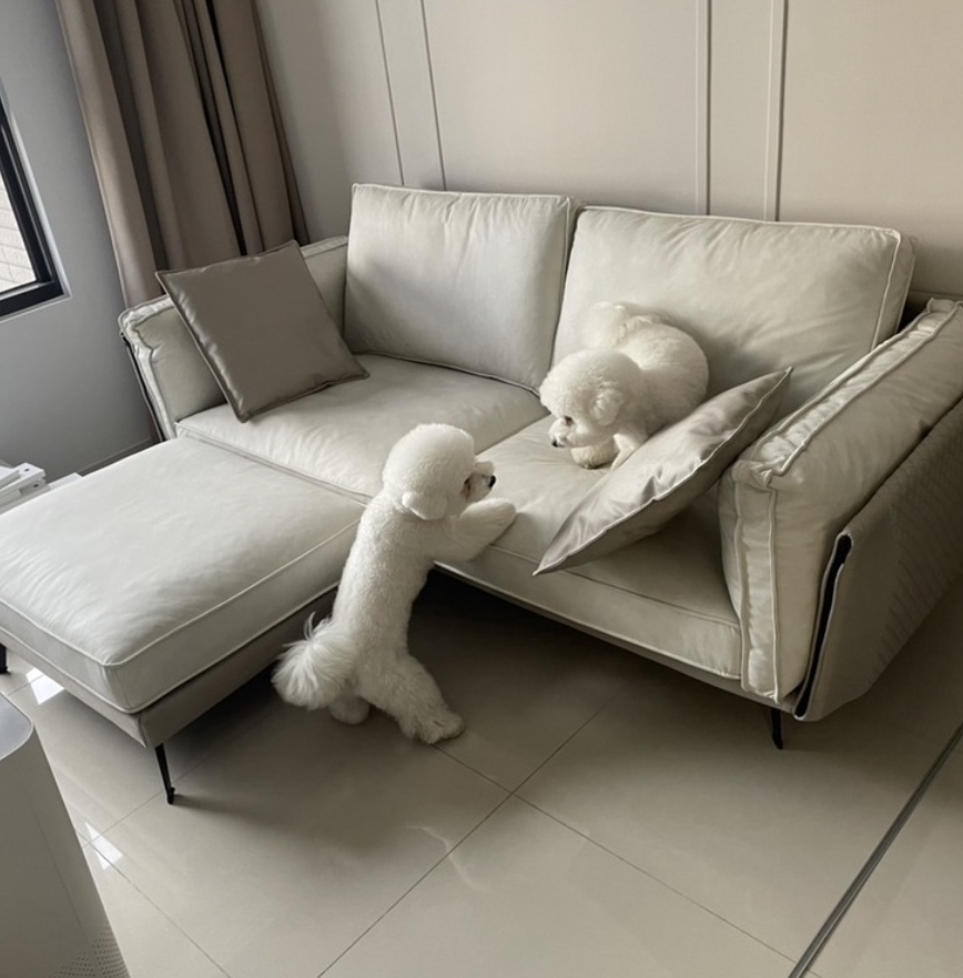 夾心餅乾沙發 Z2126