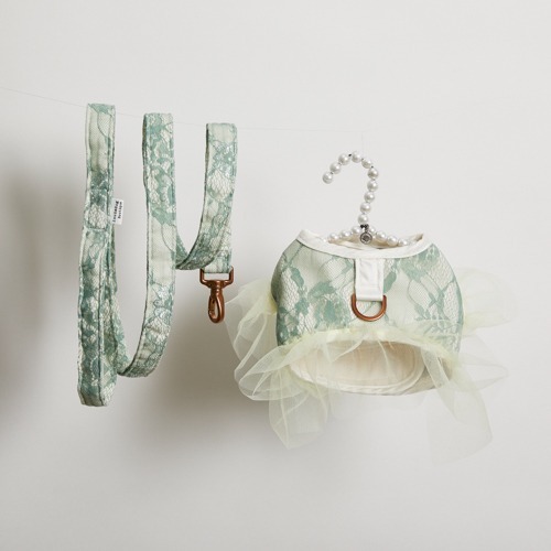 Louisdog 綠色蕾絲胸背組