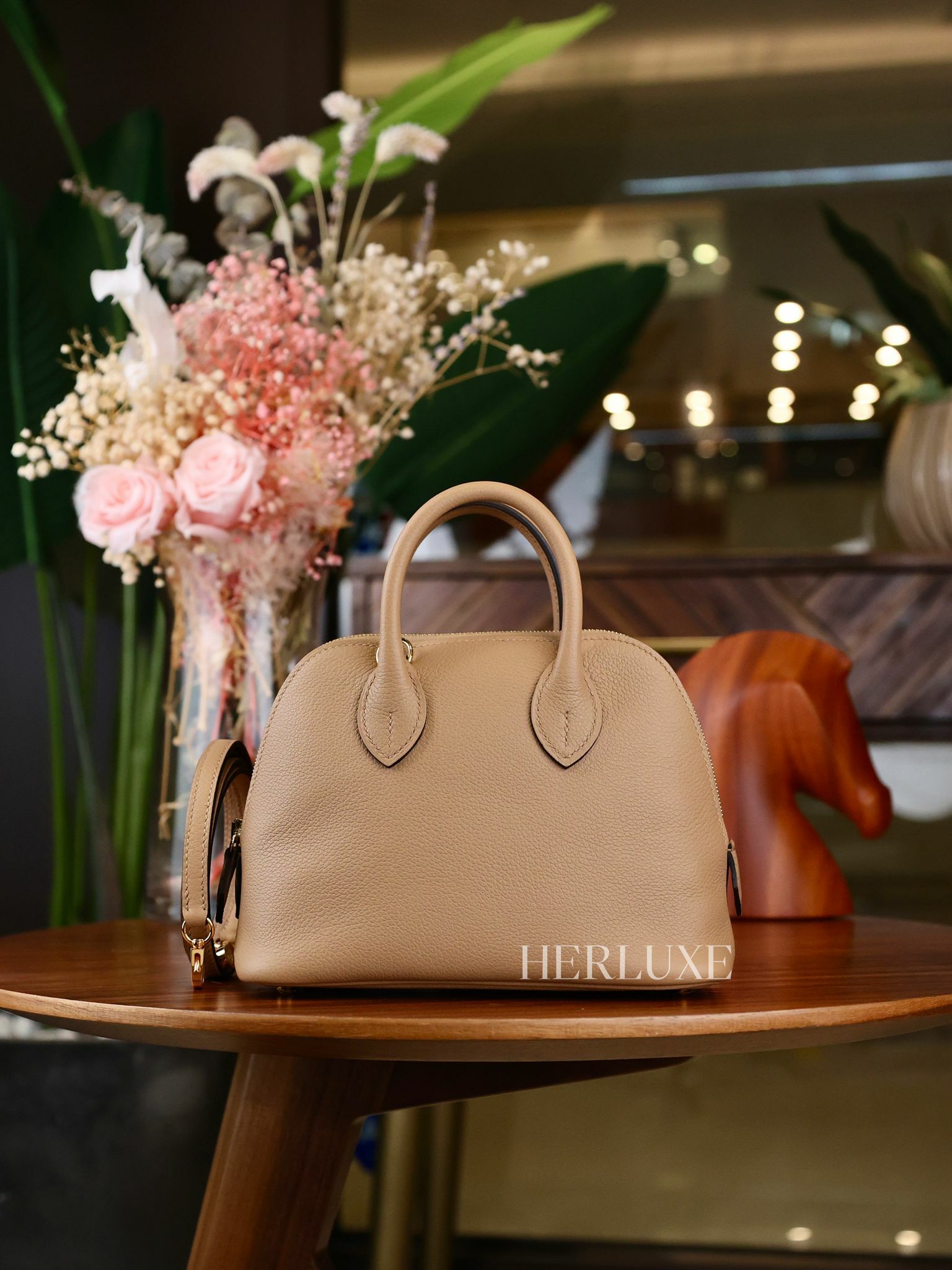 Bolide mini 0M chai cc evercolor