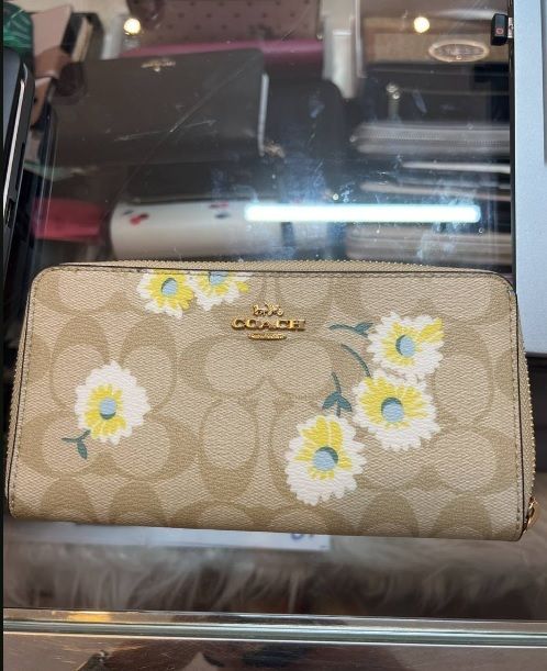 [S] COACH C3370 SIG DSY PRINT ACC ZIP,LIGHT KHAKI MULTI, 195031162374 (SCO61)