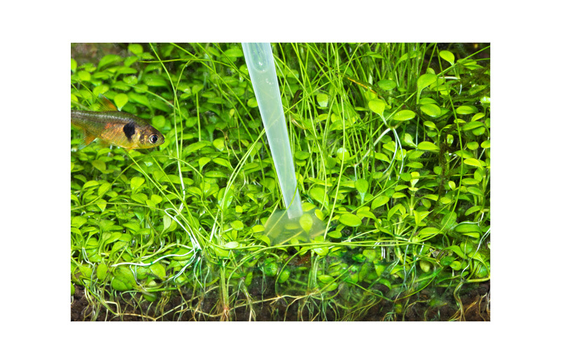 ADA 菲通吉特保護劑・黏稠加強版