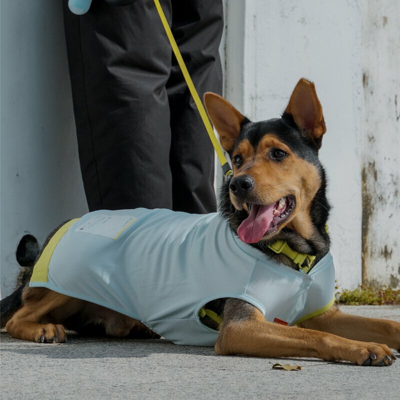 CAMPET - SPORT® 冰絲科技涼感衣【彈珠汽水】