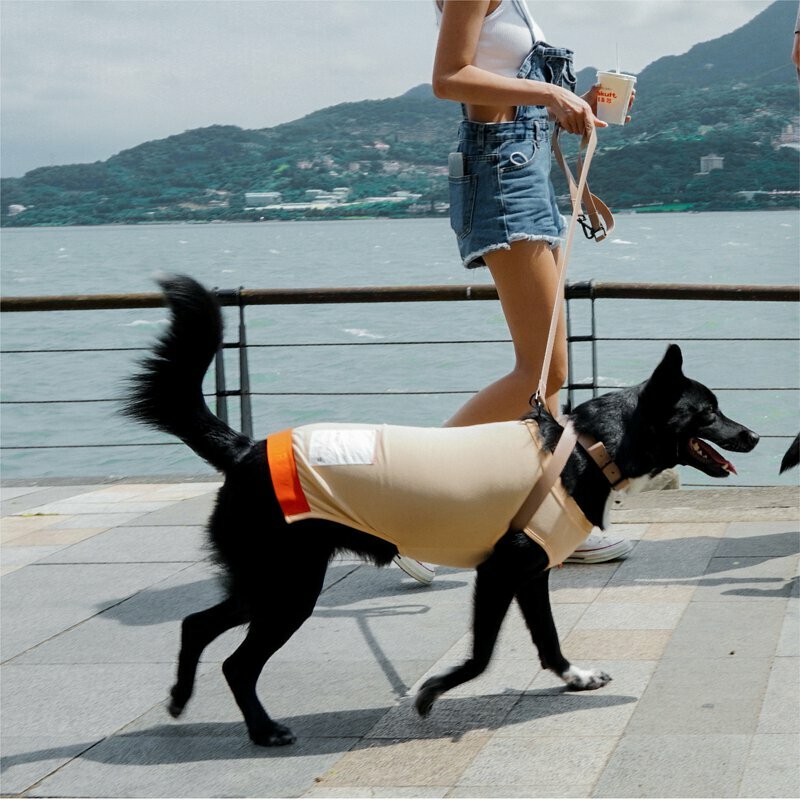 CAMPET - SPORT® 冰絲科技涼感衣【養樂多冰沙】