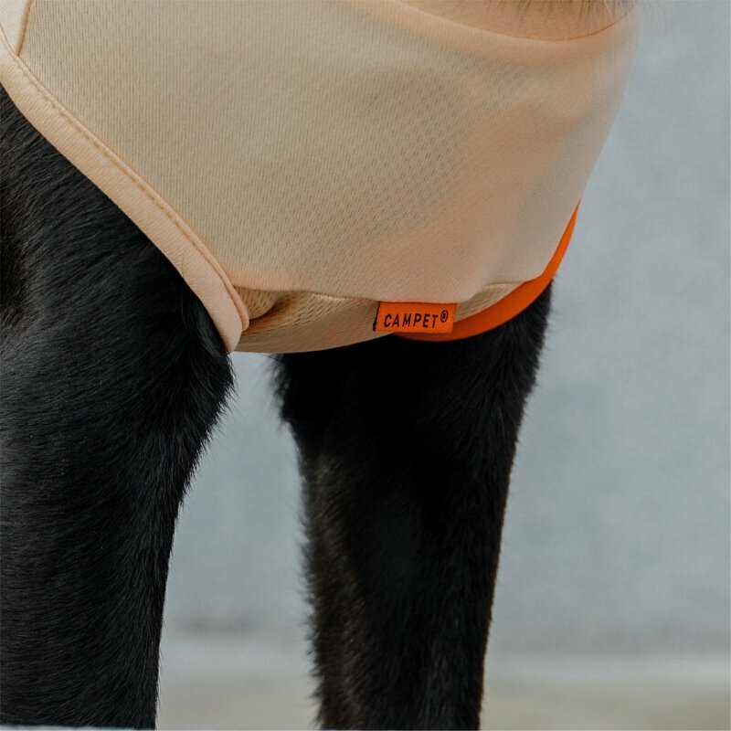 CAMPET - SPORT® 冰絲科技涼感衣【養樂多冰沙】