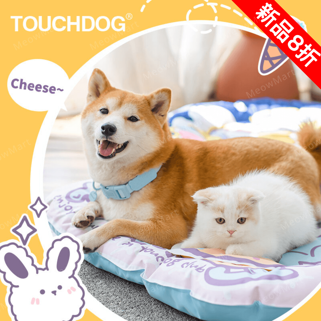 【新品8折】TOUCHDOG 熊仔造型冰墊+冰枕