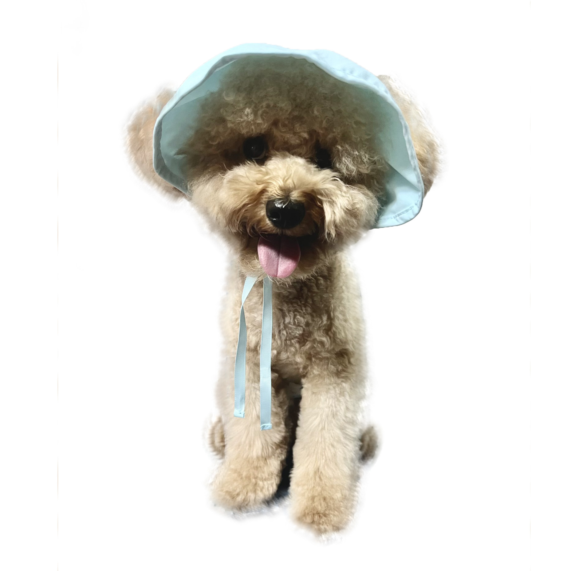 *Wholesale Only* Anti UV & Waterproof Sun Hat (Light Blue)