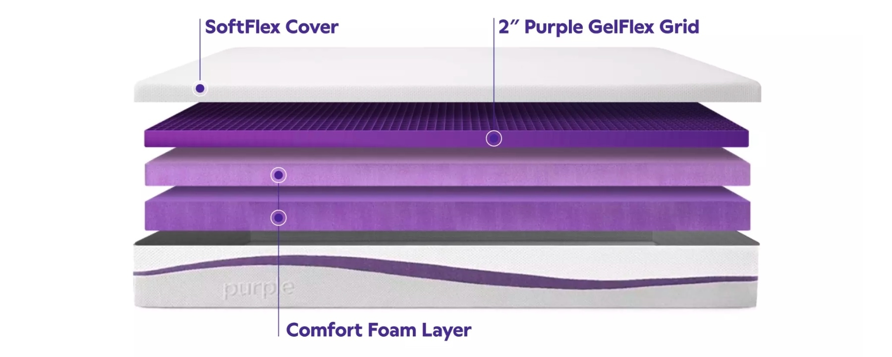 Purple網格橫幅圖