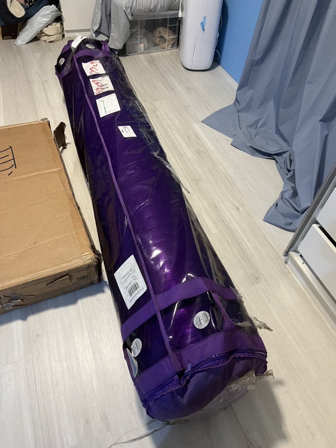 Purple捲包床到貨圖