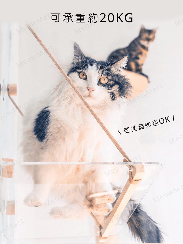 吸盤貓吊床