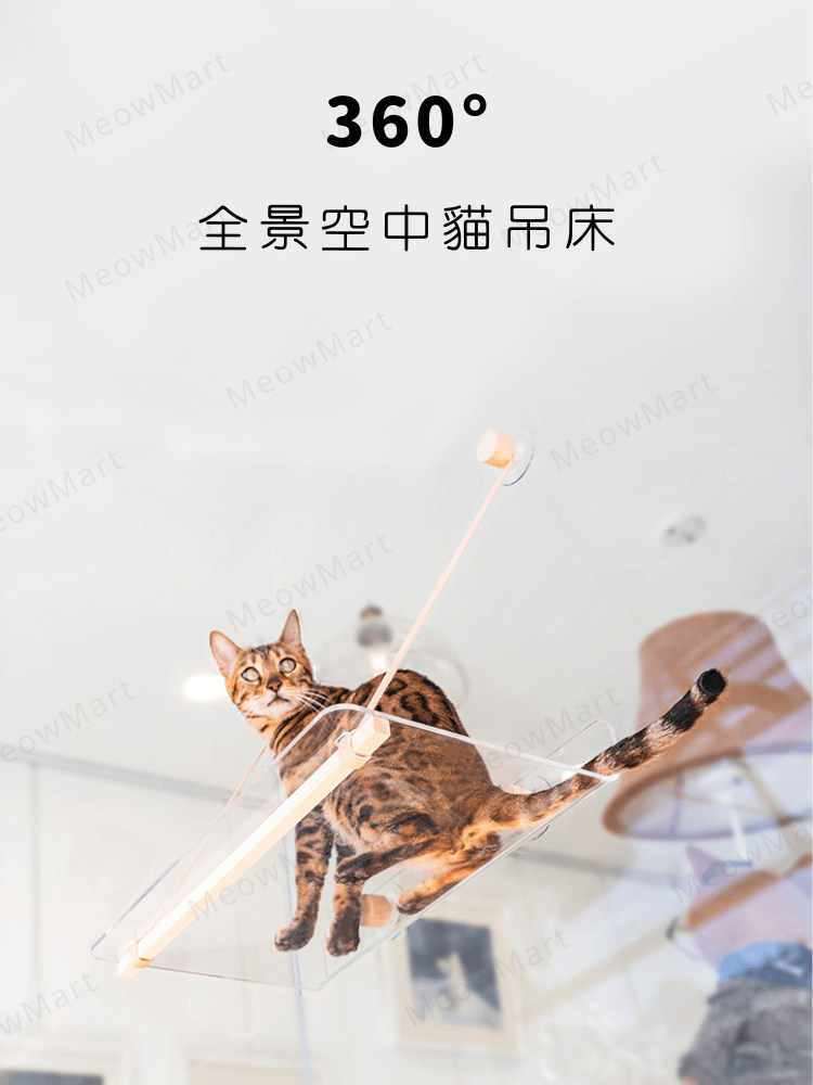 吸盤貓吊床