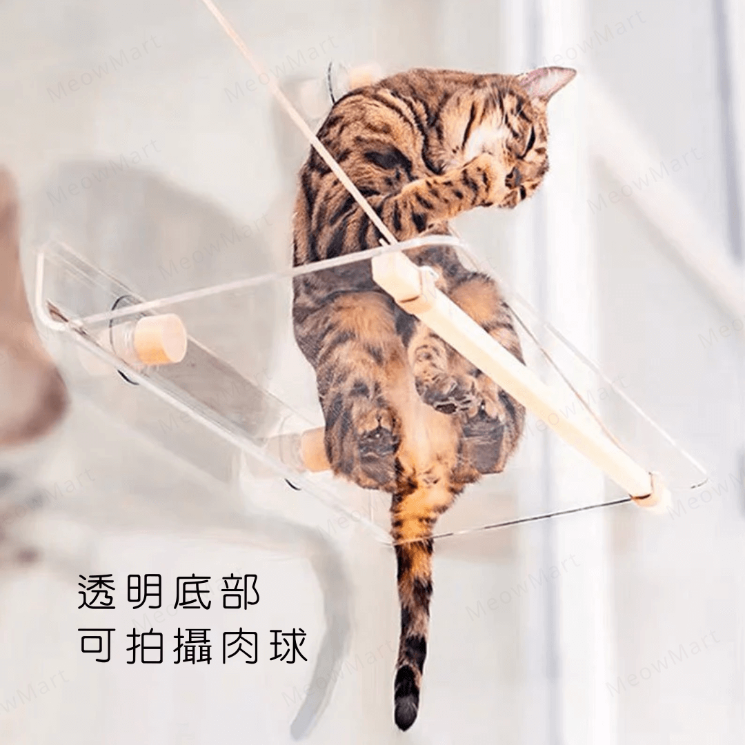 【新品8折】360°全景空中貓吊床