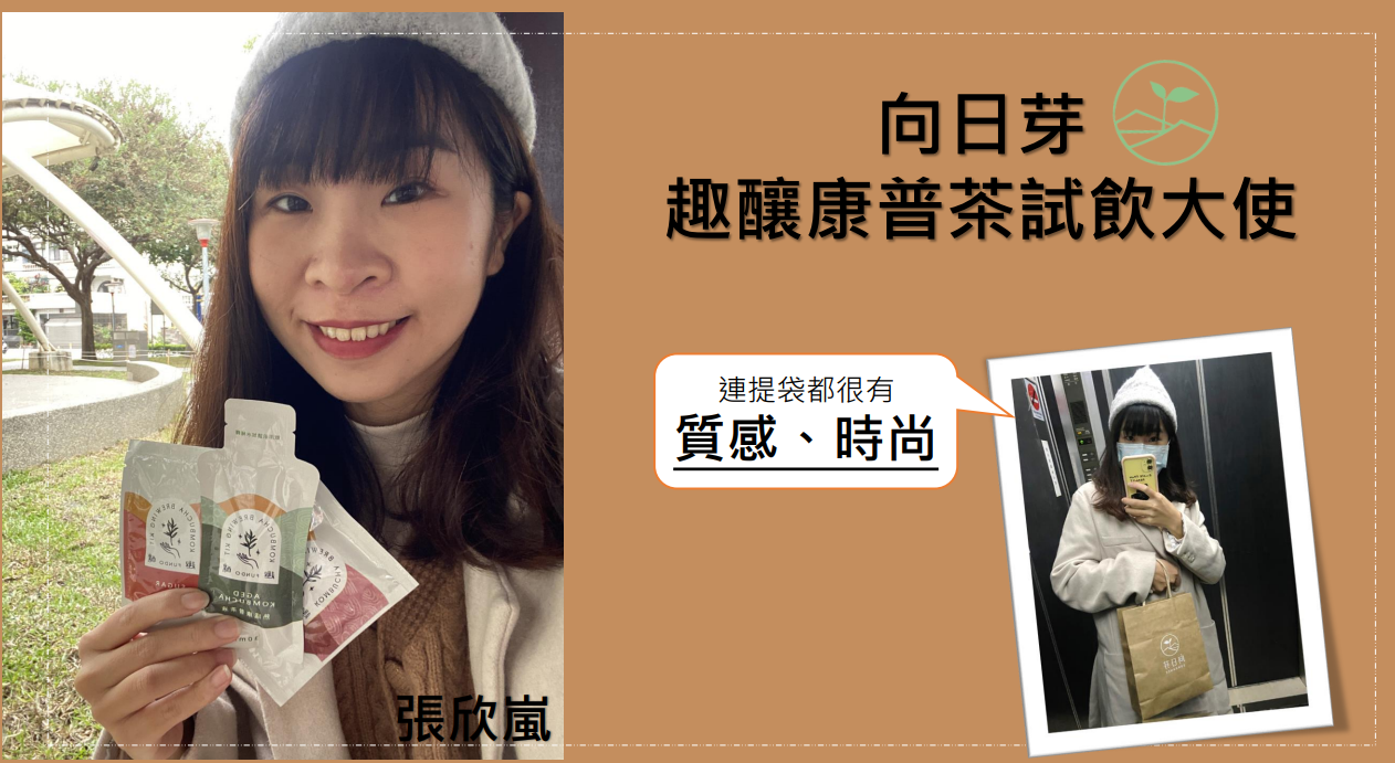 趣釀心得, 趣釀推薦, 趣釀評價, 向日芽, 康普茶推薦, 趣釀康普茶, 自釀康普茶, 自製康普茶