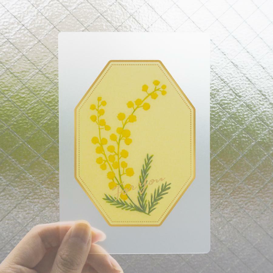 含羞草 霧面透明燙金畫框卡片 萬用卡片｜日本EL COMMUN