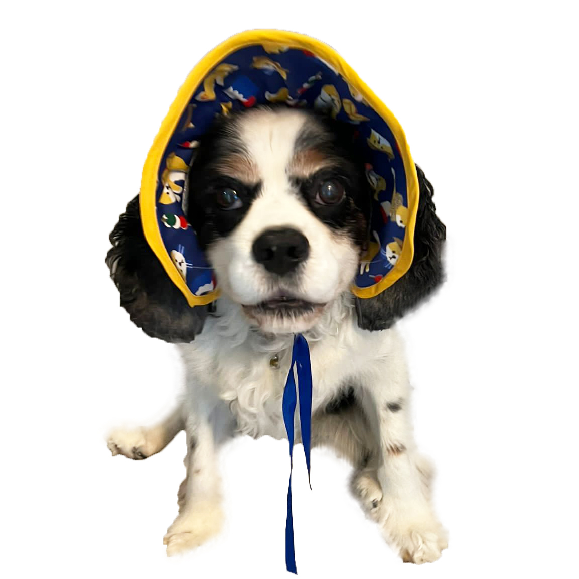 Shiba Inu Pattern Sun Hat (Navy)