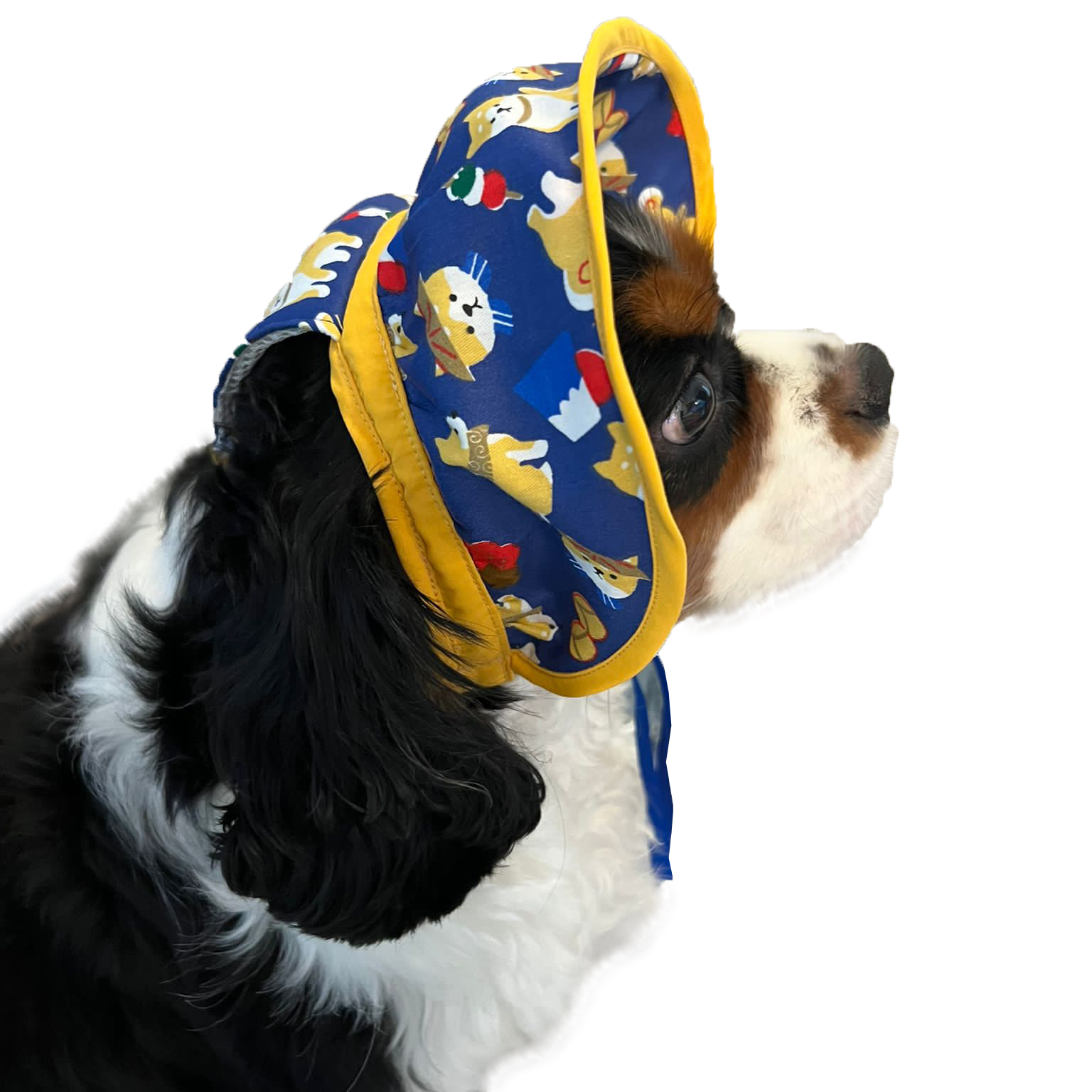 Shiba Inu Pattern Sun Hat (Navy)