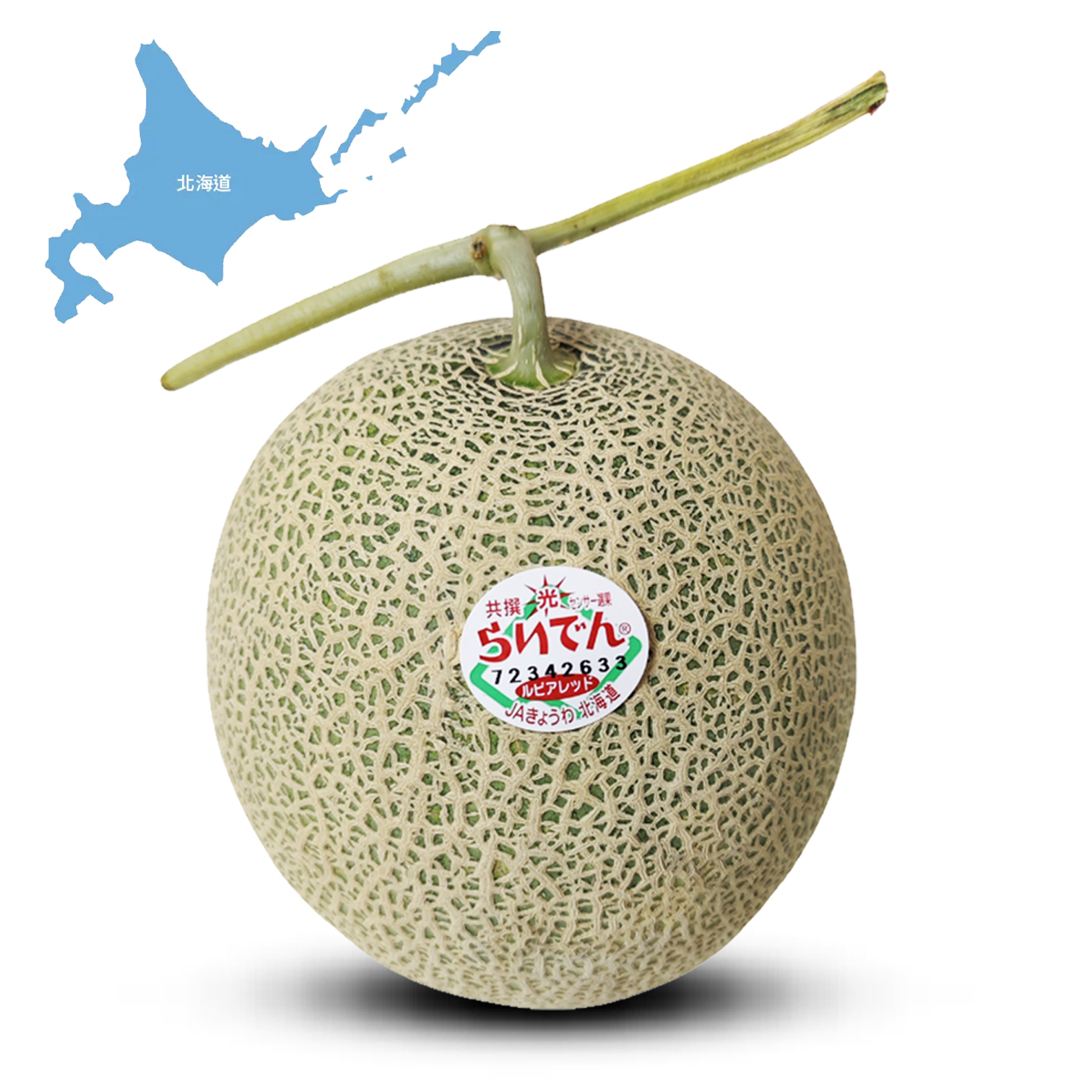 Hokkaido Raiden Melon [1 pc|L size]