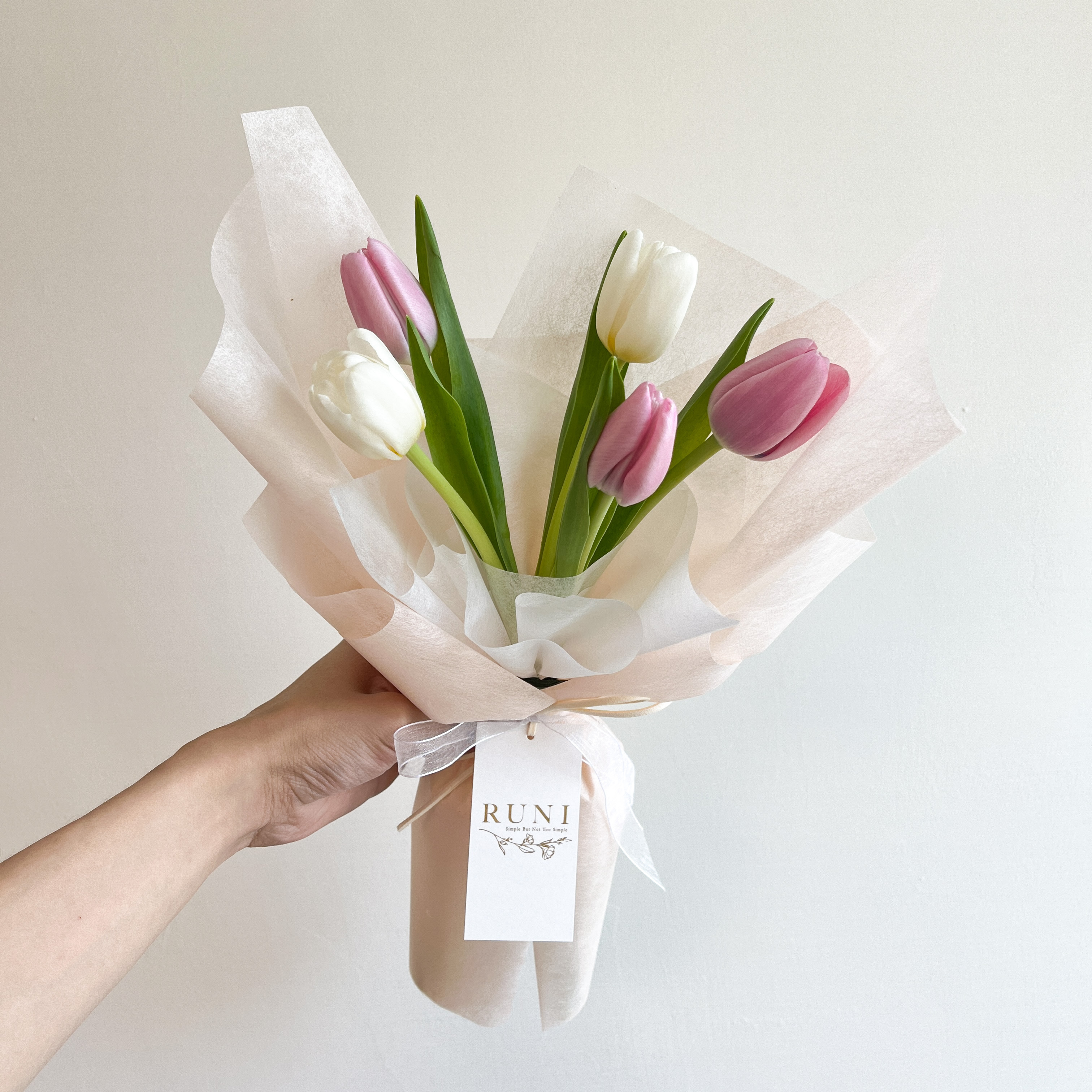 輕粉晨曦-5支款白粉鬱金香花束