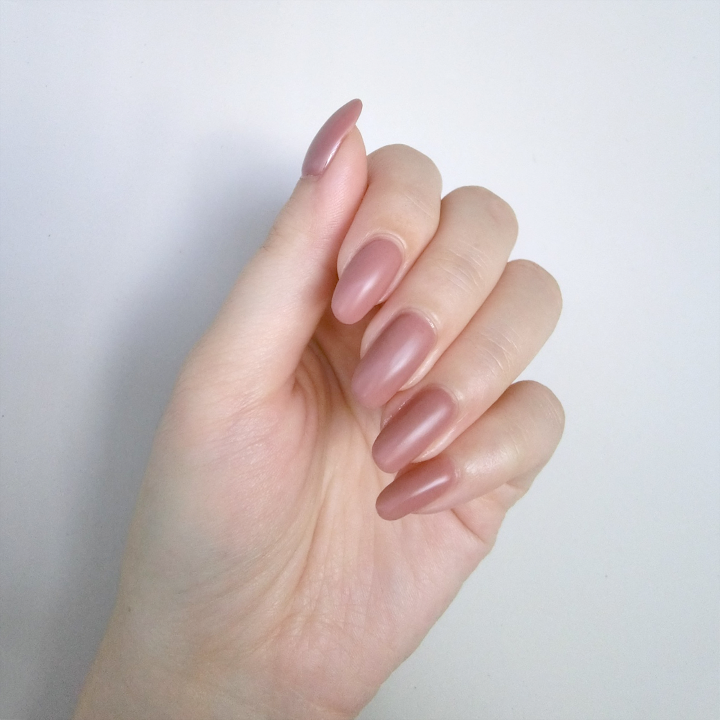 Ellie × ARTiS di Voce EA07 女子必需品